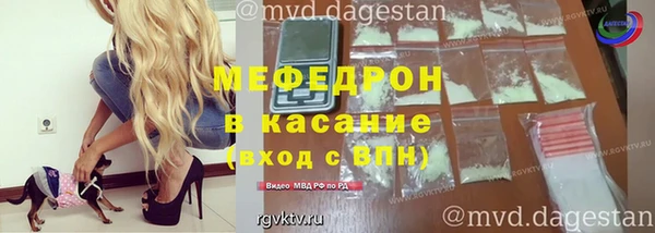 СК Новодвинск