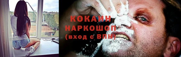 СК Новодвинск