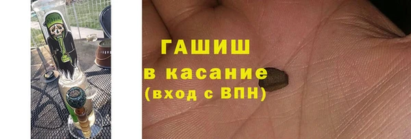 СК Новодвинск