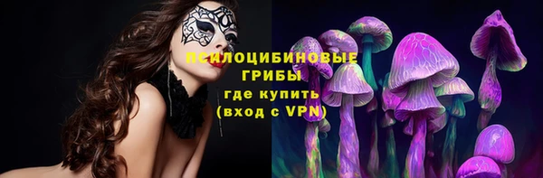 СК Новодвинск
