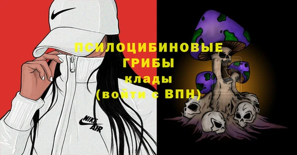 ПСИЛОЦИБИНОВЫЕ ГРИБЫ Нязепетровск