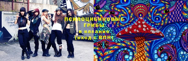молекула духа Новокубанск