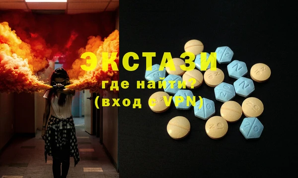 СК Новодвинск