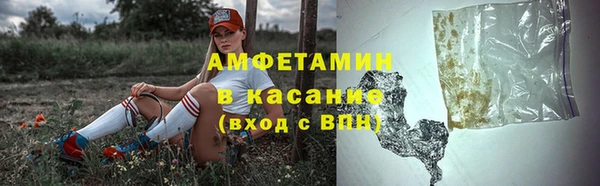 СК Новодвинск