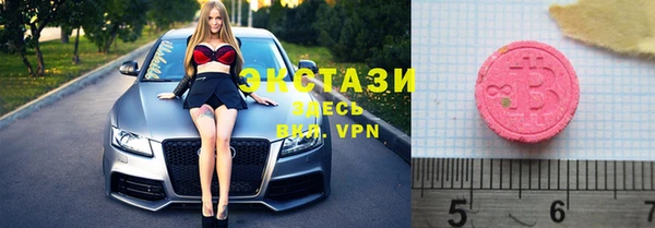 СК Новодвинск
