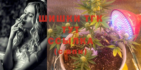 молекула духа Новокубанск