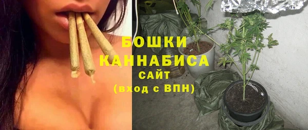 молекула духа Новокубанск