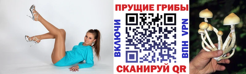 Псилоцибиновые грибы мухоморы  mega tor  Спасск-Рязанский  как найти закладки 