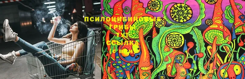 Галлюциногенные грибы Magic Shrooms  Спасск-Рязанский 